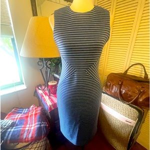 Calvin Klein Navy & Gray Stripe Fitted Dress Size 4